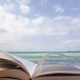 Illustration for article titled What Are You Reading This Summer?